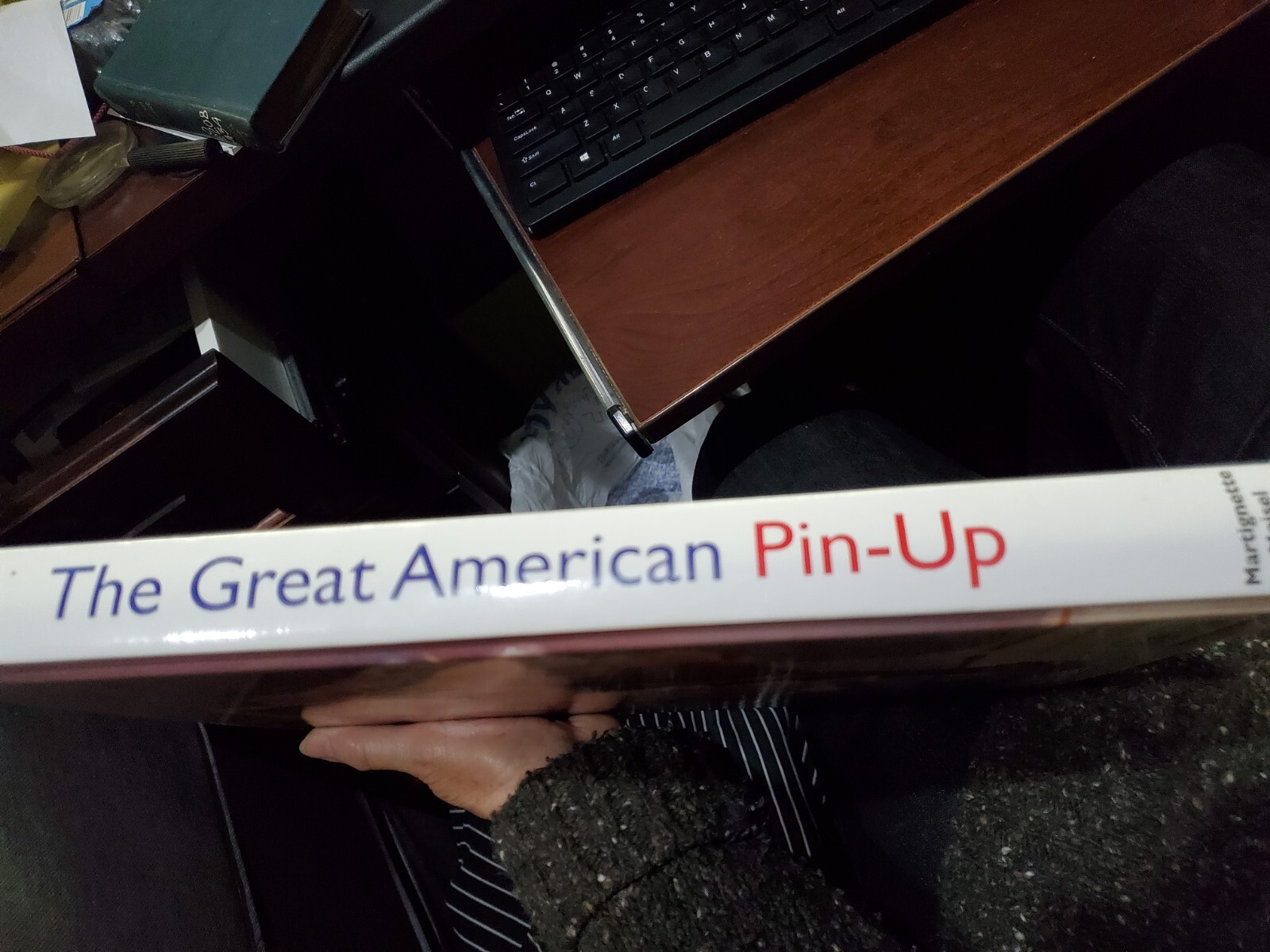 THE GREAT AMERICAN PIN-UP Martignette & Meisel HUGE 280 pages 2011 1st 246810975
