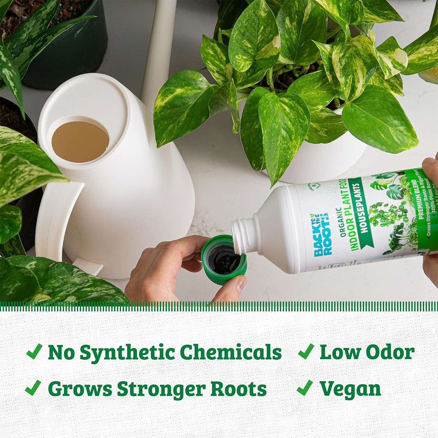 Natural & Organic Indoor Plant Food (16Oz Value Size – 95 Feeds!), Great for Hou