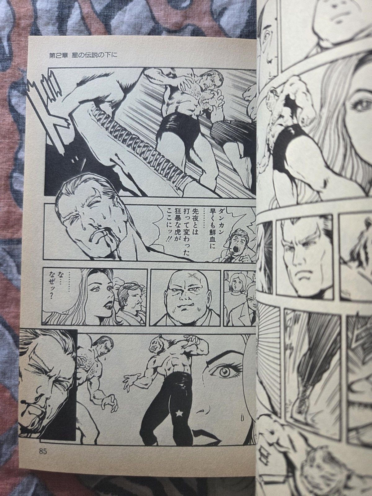 Kaze Shinobu Tiger Mask The Star 1993 Manga Japan UP Ckmics Action US Seller