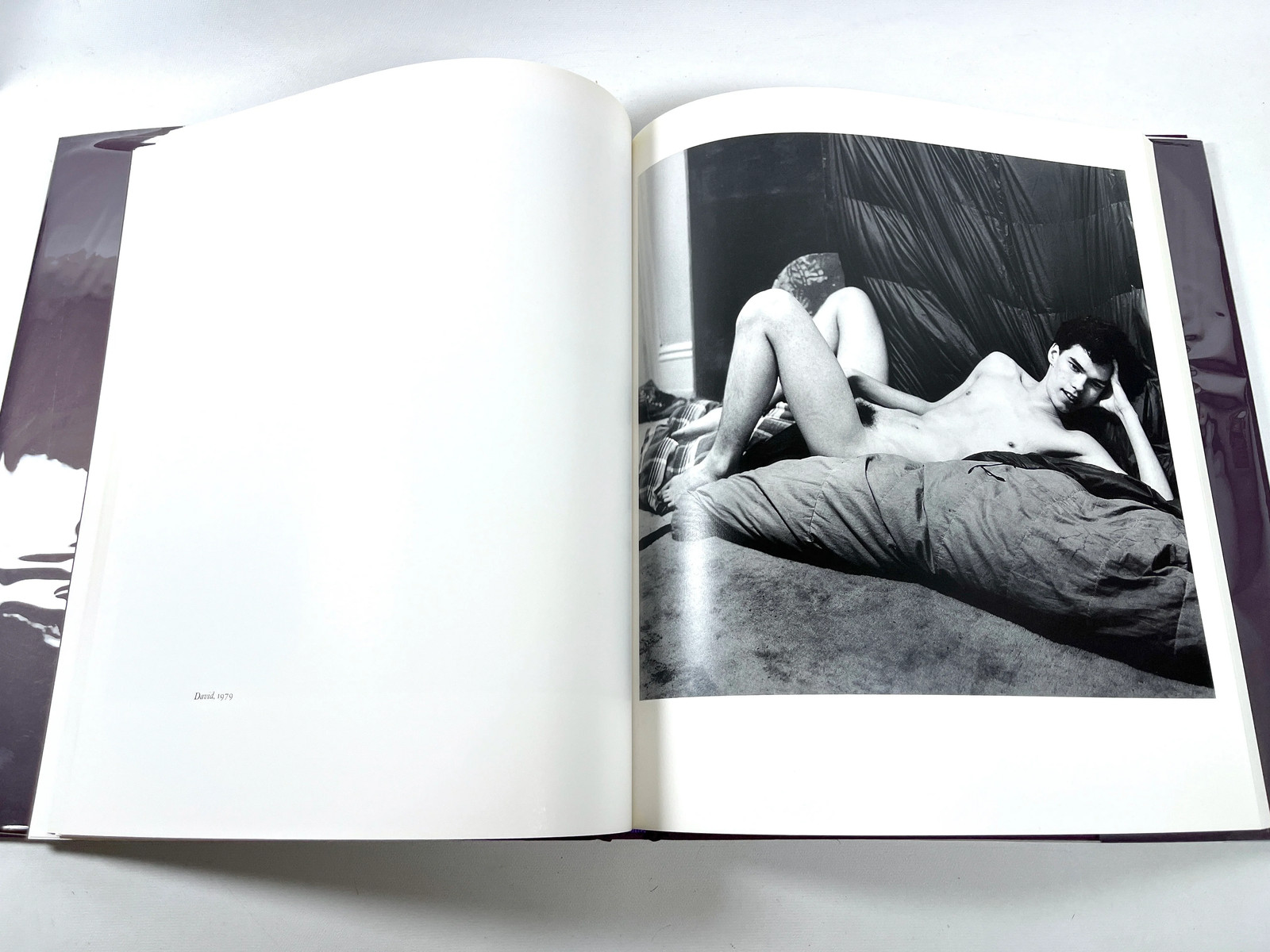 Klaus Kertess, Peter Hujar: Animals and Nudes, Twin Palms 2002 Very Good HC