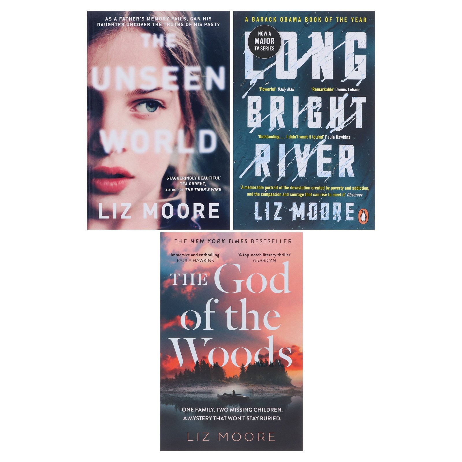 Liz Moore Collection 3 Books Set – Fiction – Paperback