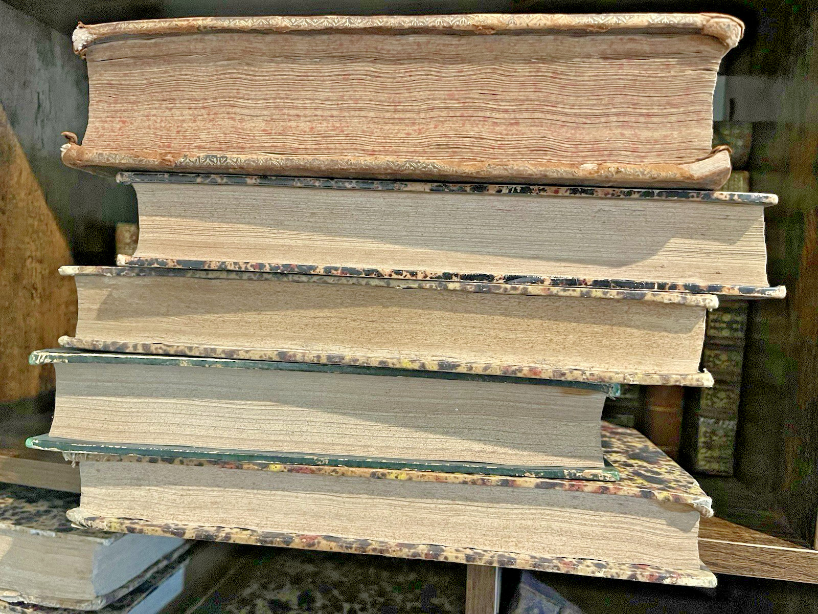 ANTIQUE BOOK IN LATIN from 1800s – Historical Collectible from 19th Century