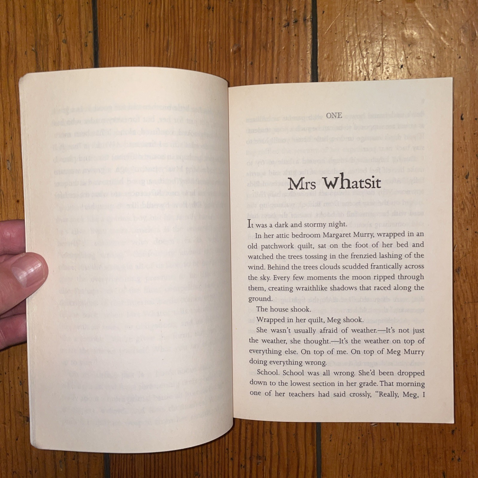 A Wrinkle In Time by Madaleine L’Engle (2007 Square Fish Trade Paperback)