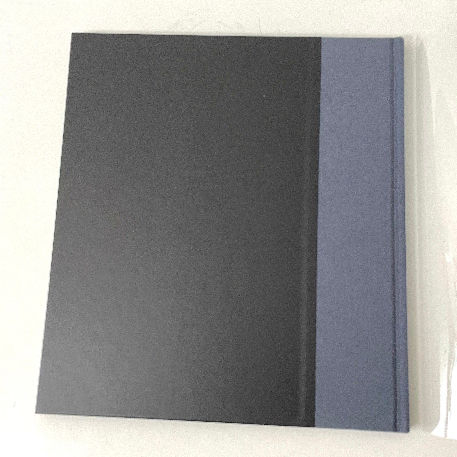 Tones of Dirt and Bone by Mike Brodie (2014, Hardcover) – 1st Edition Twin Palms