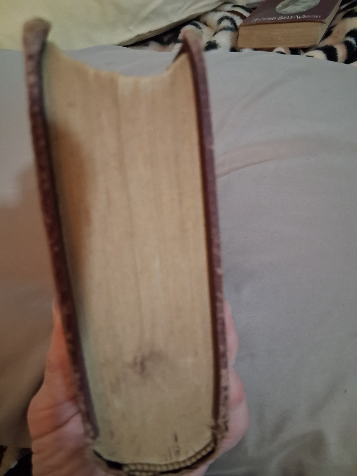 Josiah Allen’s Wife. Samantha at Saratoga. Hubbard, 1887. 1st ed. VG copy.
