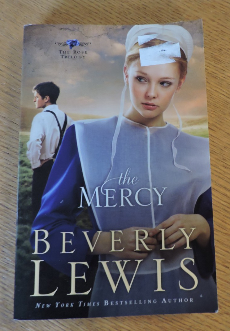 The Mercy (The Rose Trilogy, Book 3) by Lewis, Beverly Paperback 303 pages