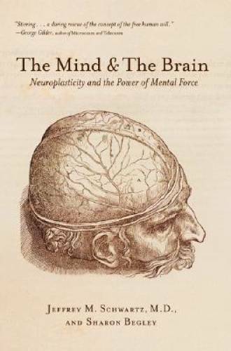 The Mind and the Brain: Neuroplasticity and the Power of Mental Force – GOOD