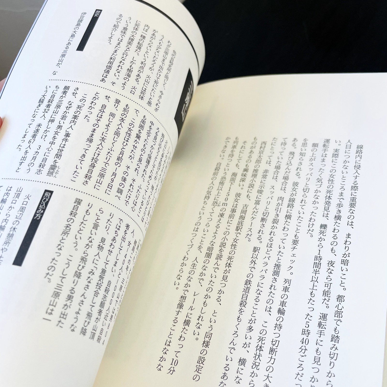 The Complete Manual Of Suicide Japanese Practical Book Kanzen Jisatsu Manual