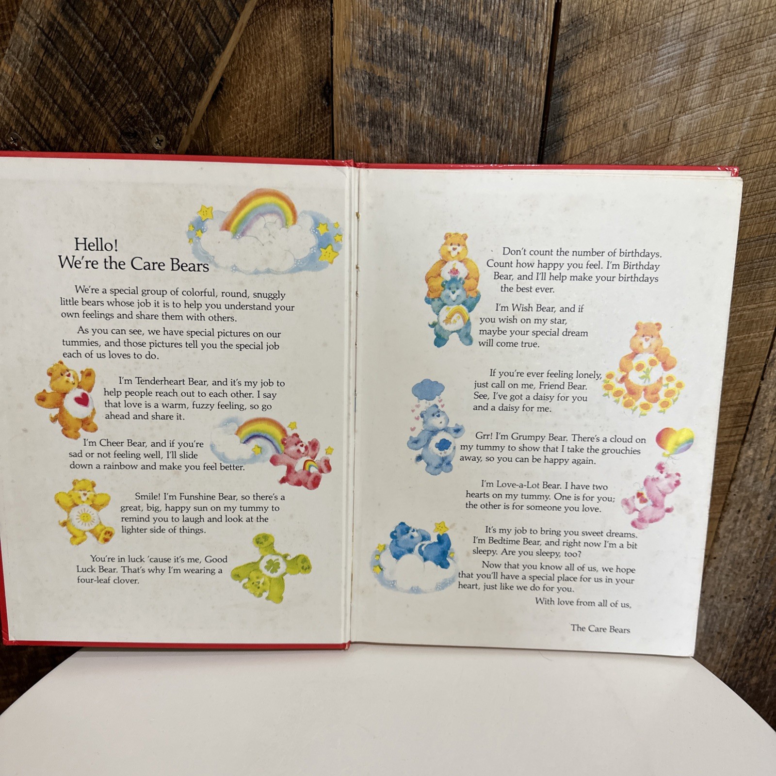 Vintage Care Bears A Sister For Sam Hardcover 1983 44 Pages Evelyn Mason