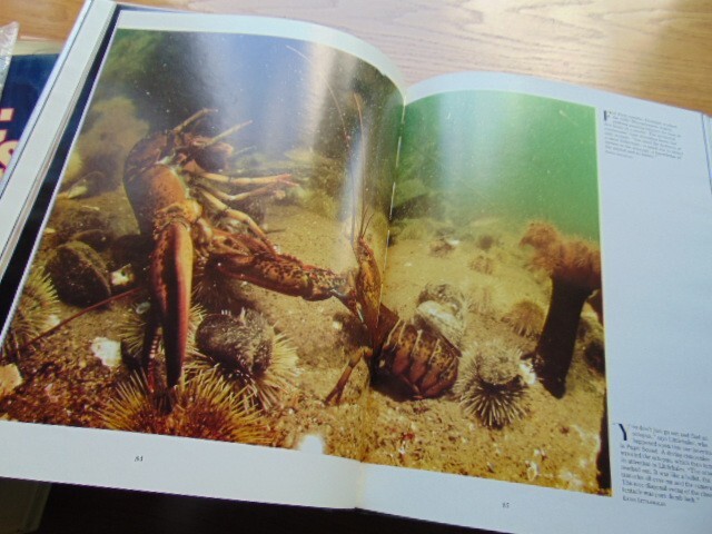 1981 Images of the World- HB- Nat. Geographic- 396 pages