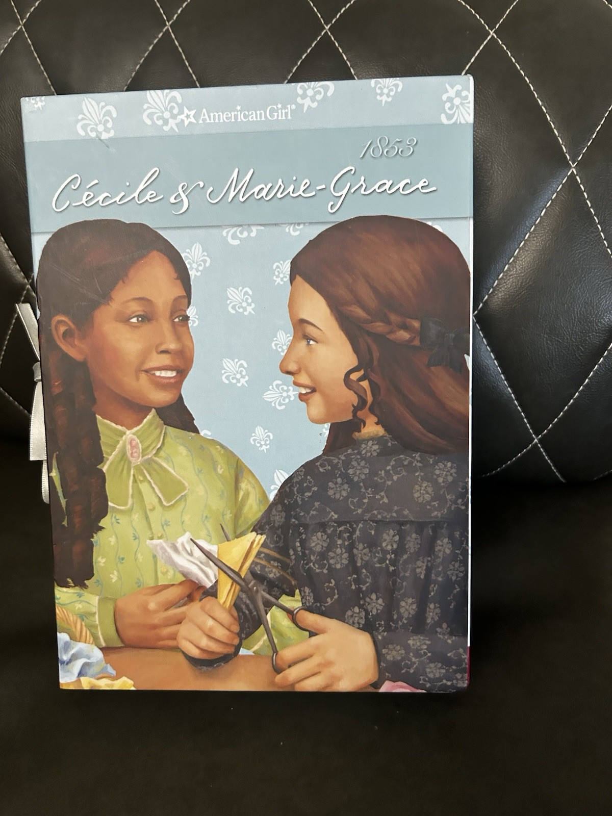 American Girl Books Lot (19 Books)