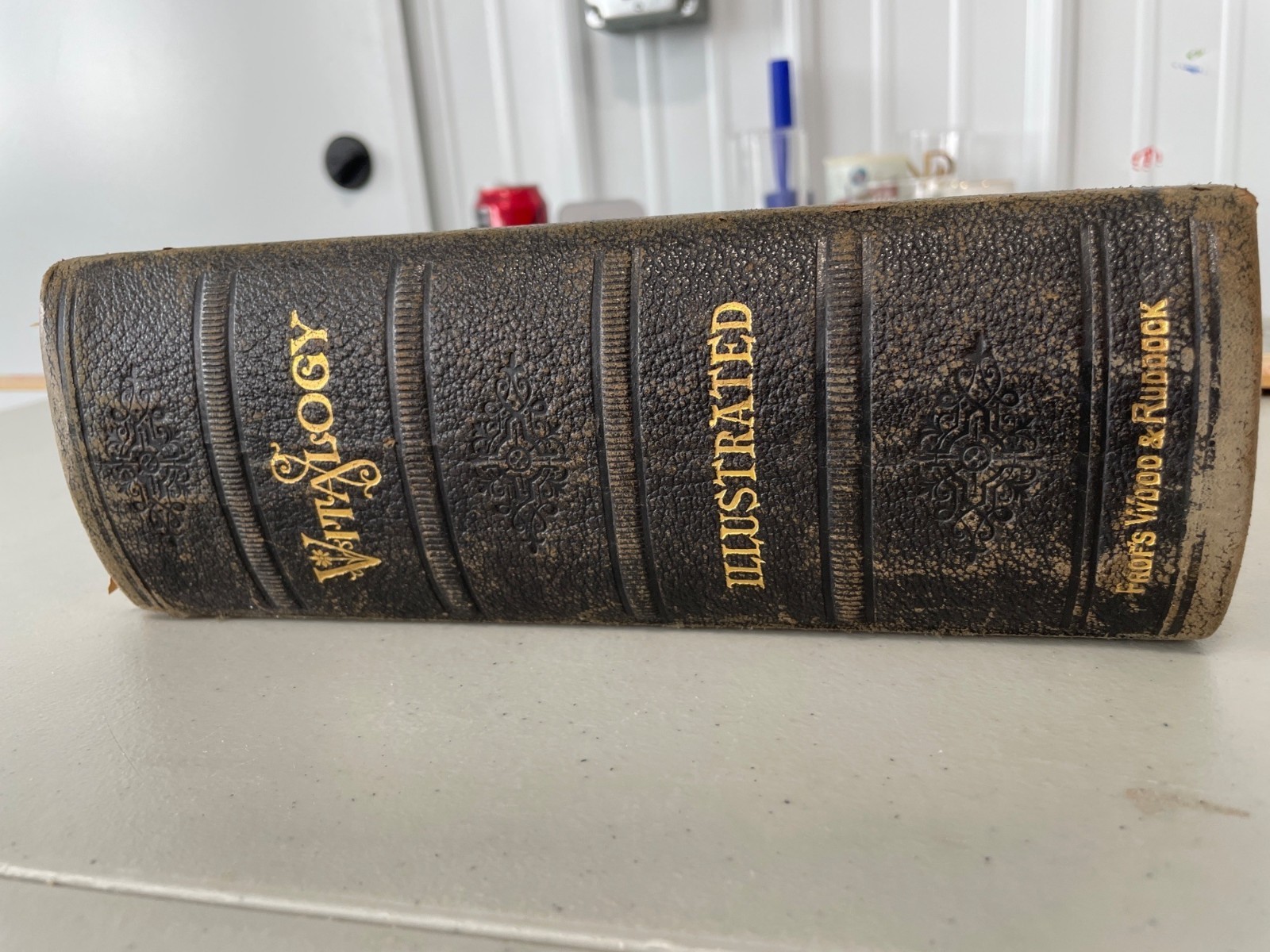 Antique Vitalogy Encyclopedia Of Health And Home Hardcover 1914 Black Leather