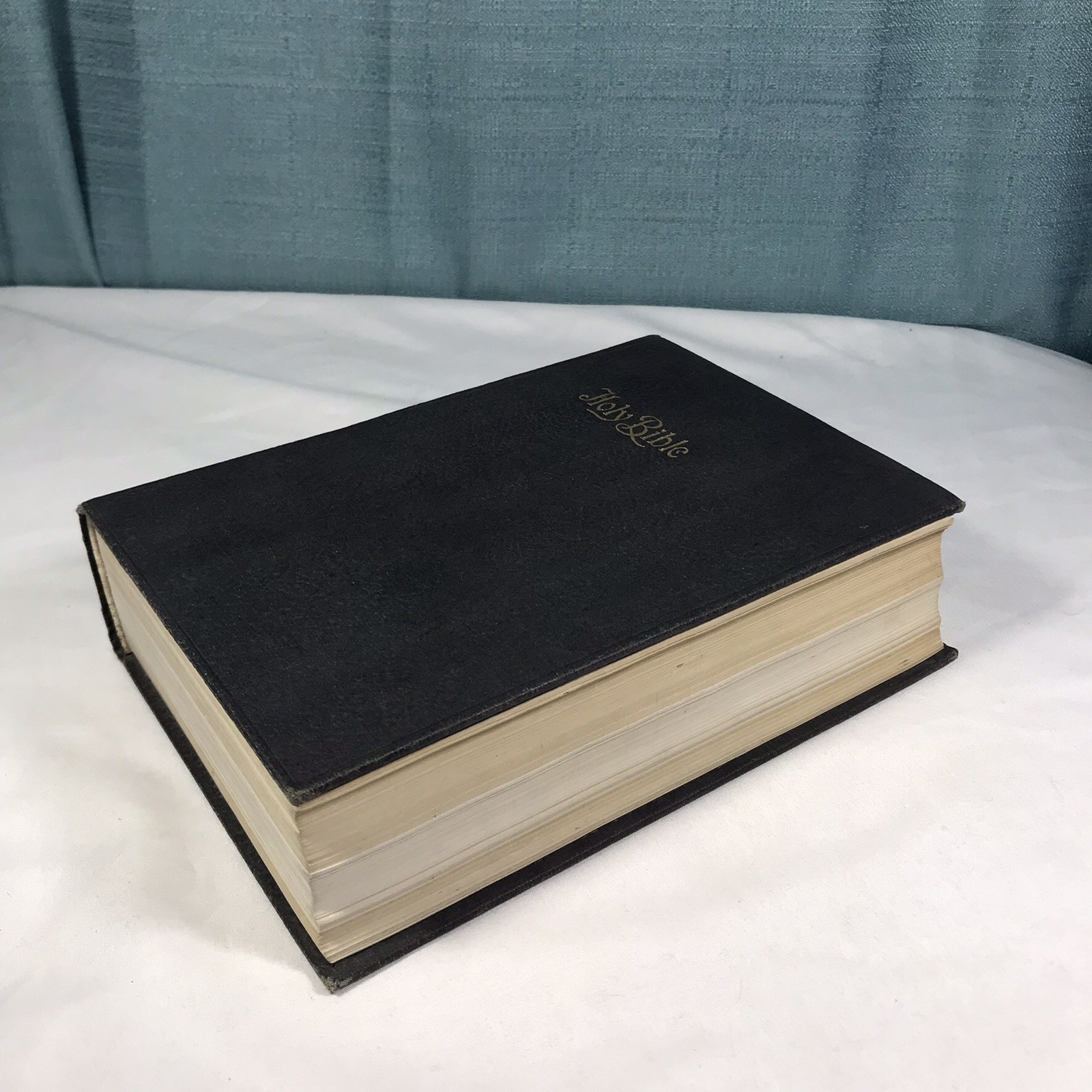 The Holy Bible Douay Version John Murphy Company Genuine Leather 1914