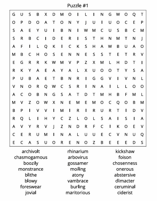 UNUSUAL WORD SEARCH BOOK | 8.5X11 INCHES | 75 PUZZLES