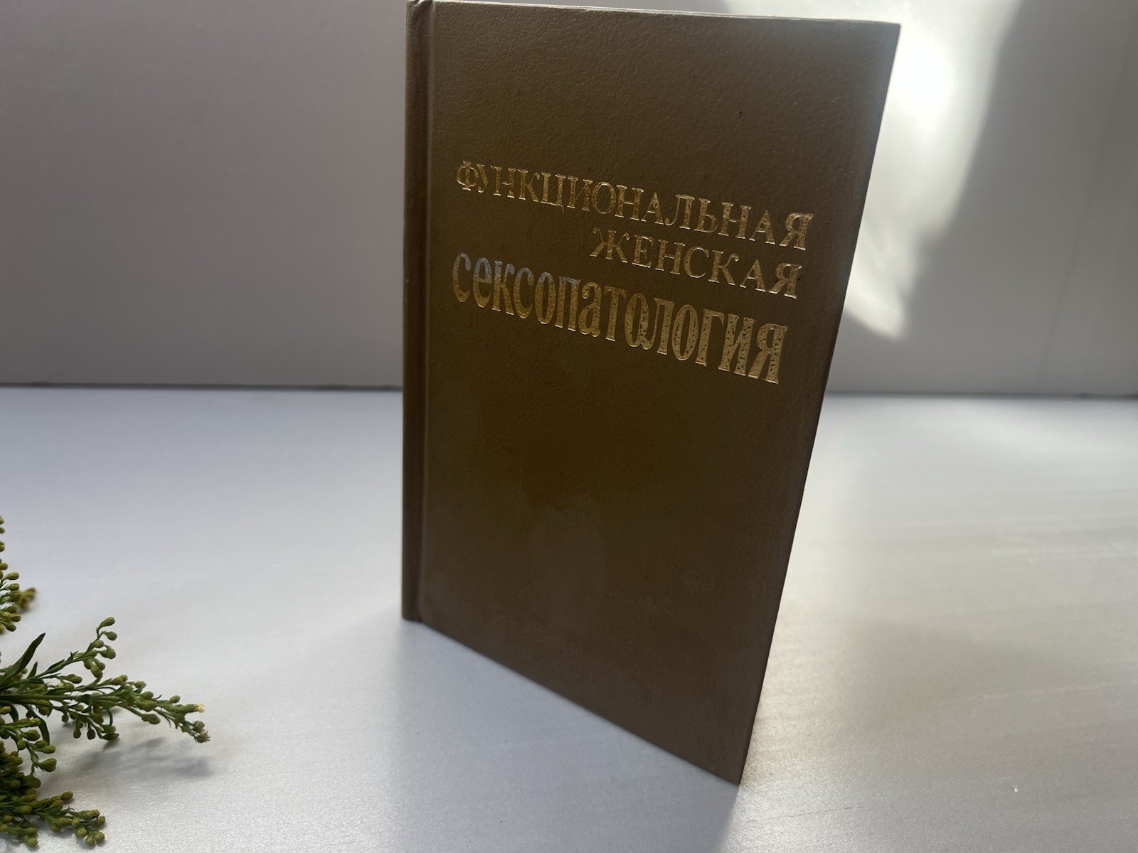 «Гойя, или тяжкий путь познания» Лион Фейхтвангер 1991