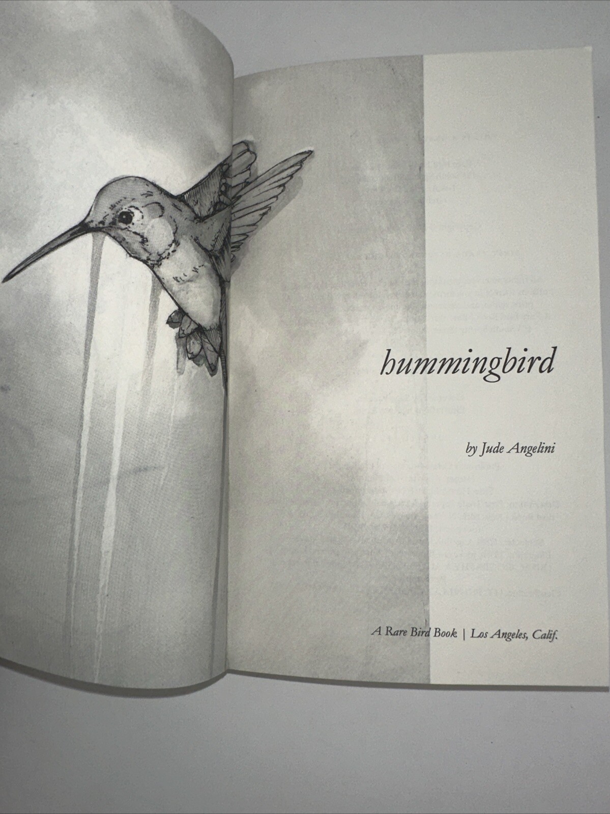 Hummingbird: Essays [Genuine Rare Bird Book] by Angelini, Jude paperback Book