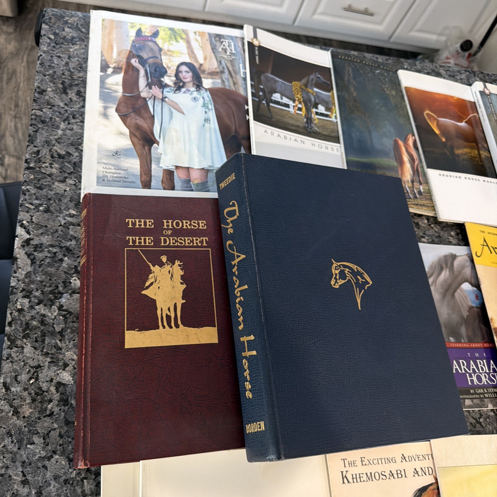 Lot Of Horse Books, Magazines Arabian Horses