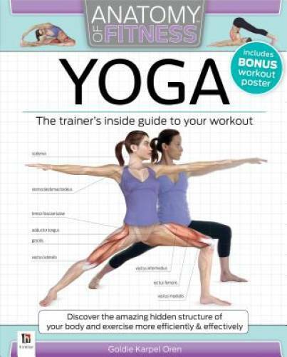 Anatomy of Fitness Yoga – Paperback By Goldie Oren – GOOD