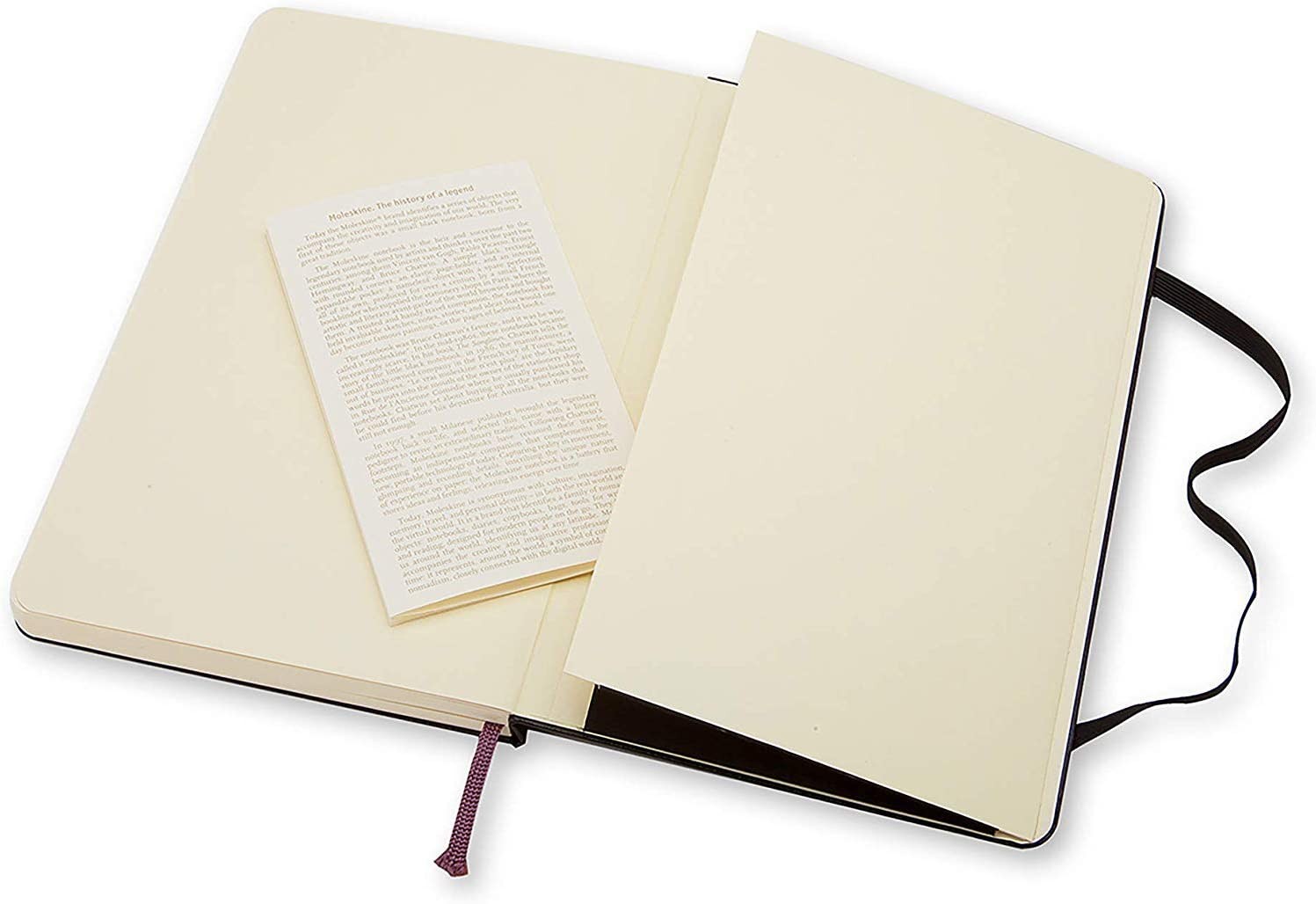 Moleskine Classic Notebook Hard Cover Large 5 x 8.25 Plain/Blank Black 240 Pages