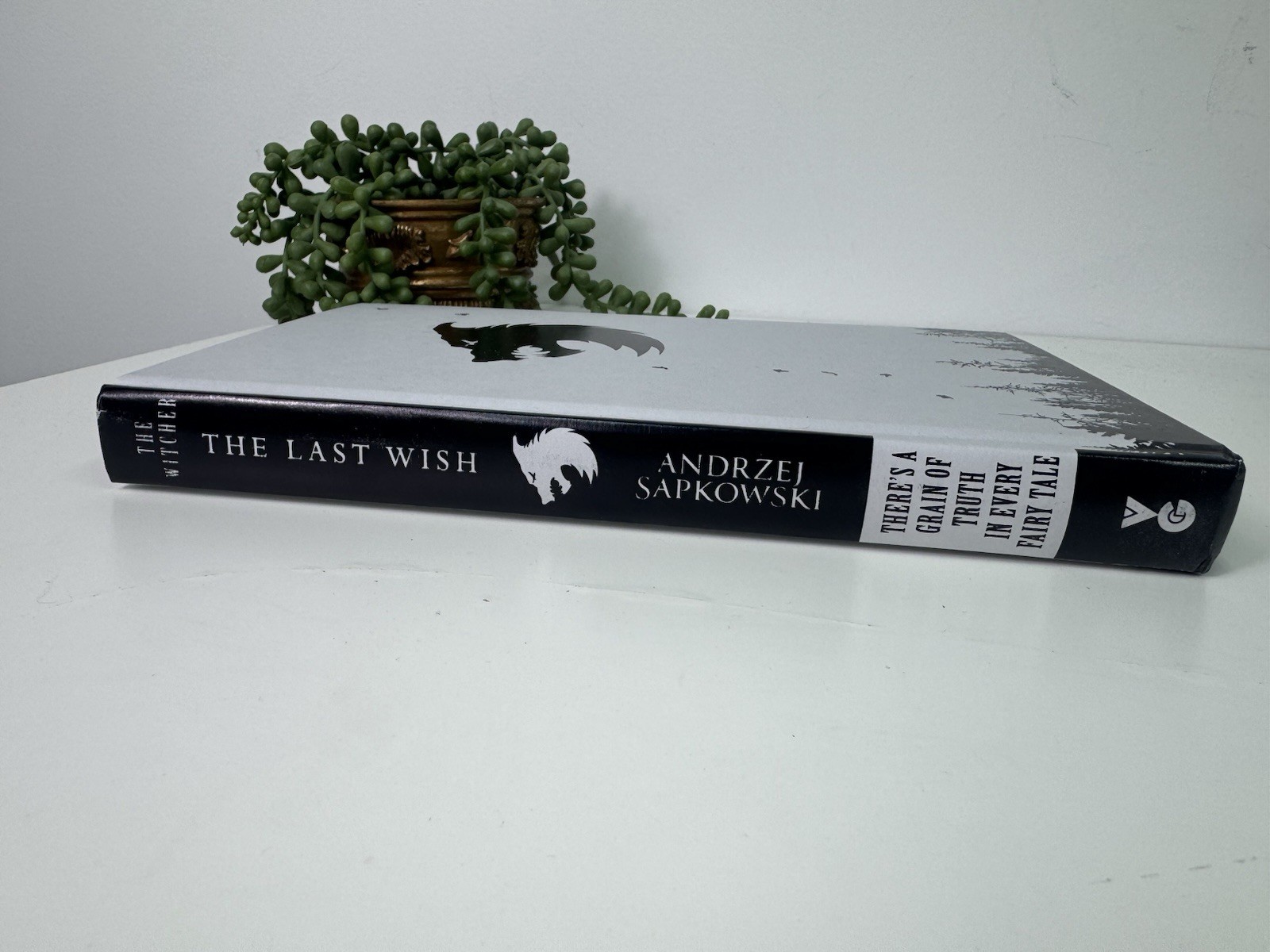 The Witcher The Last Wish by Andrzej Sapkowski 2020 Illumicrate HB