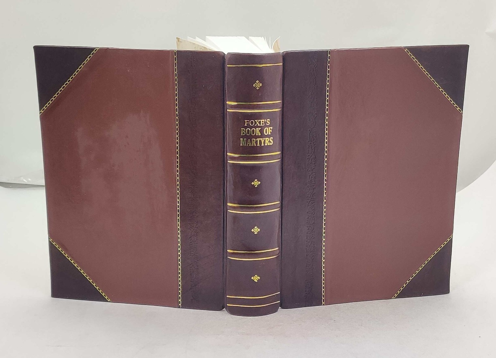 Foxe’s Book of martyrs; 1897 by Foxe, John [Leather Crafted]