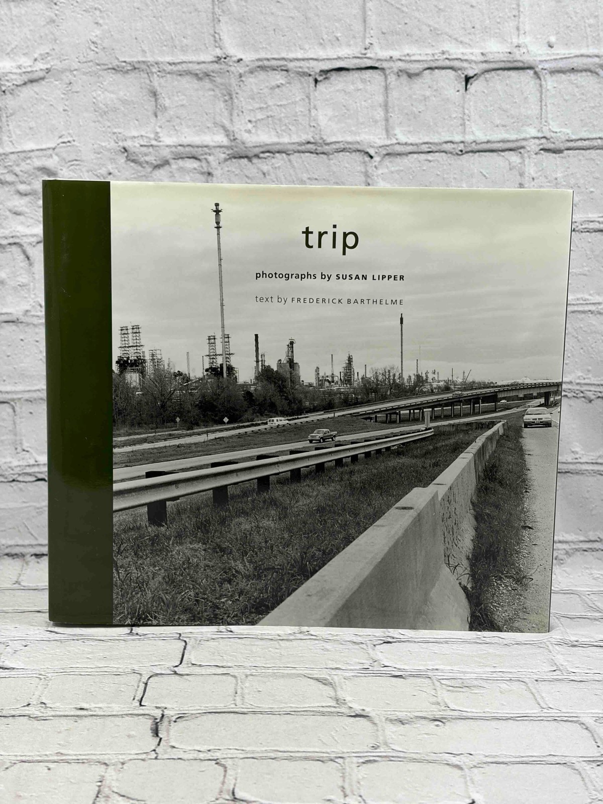 Trip by Matthew Drutt, Susan Lipper, Frederick Barthelme [1st Edition · 1st Prin