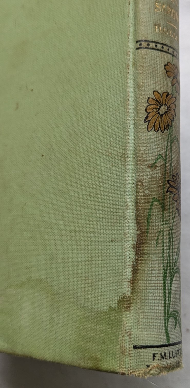 Samantha at Saratoga by Josiah Allen’s Wife. 1887 social satire, illustrated