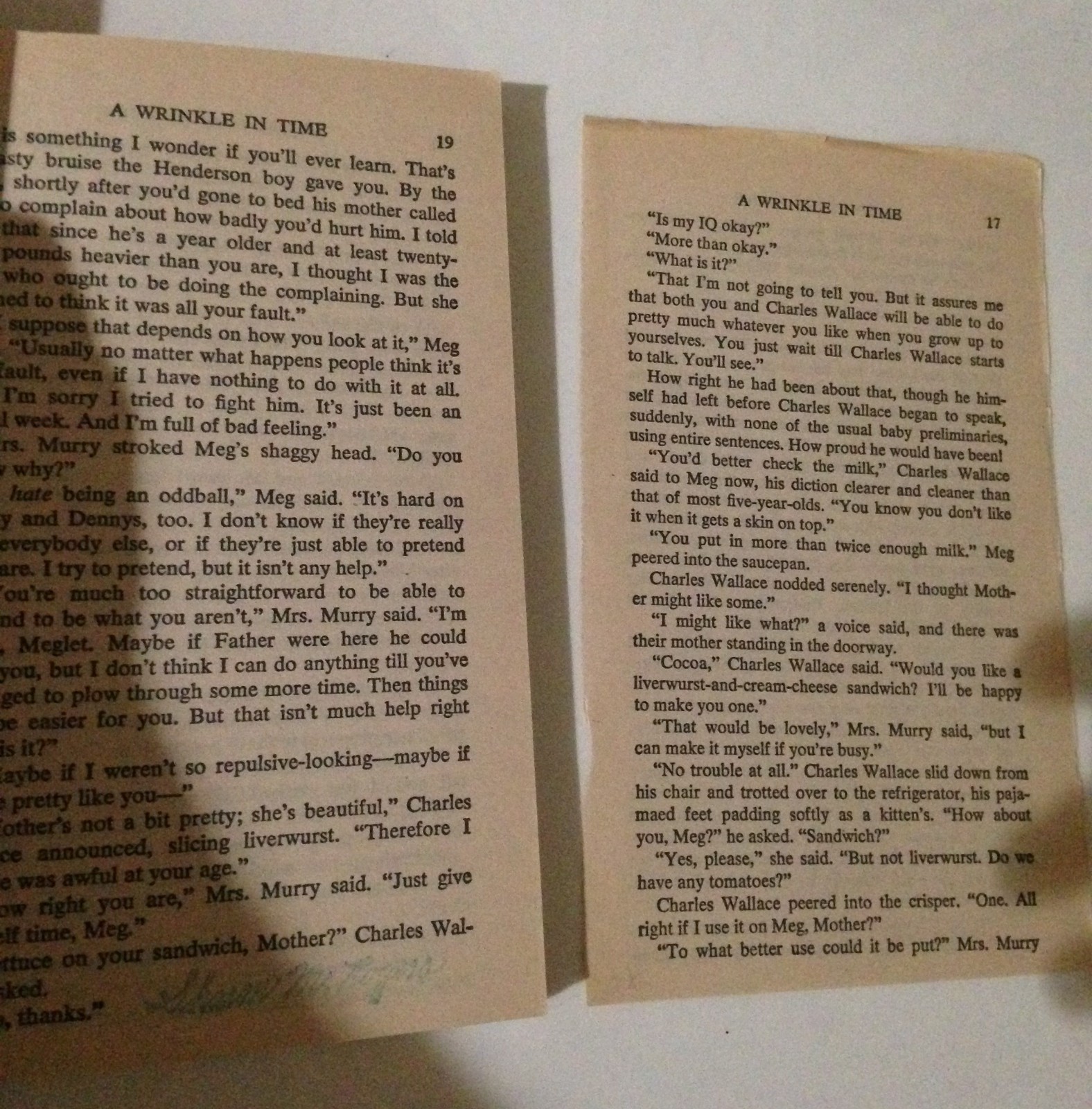 A Wrinkle in Time Madeleine L’Engle Laurel Leaf PB Book 1976 *3 Copies*
