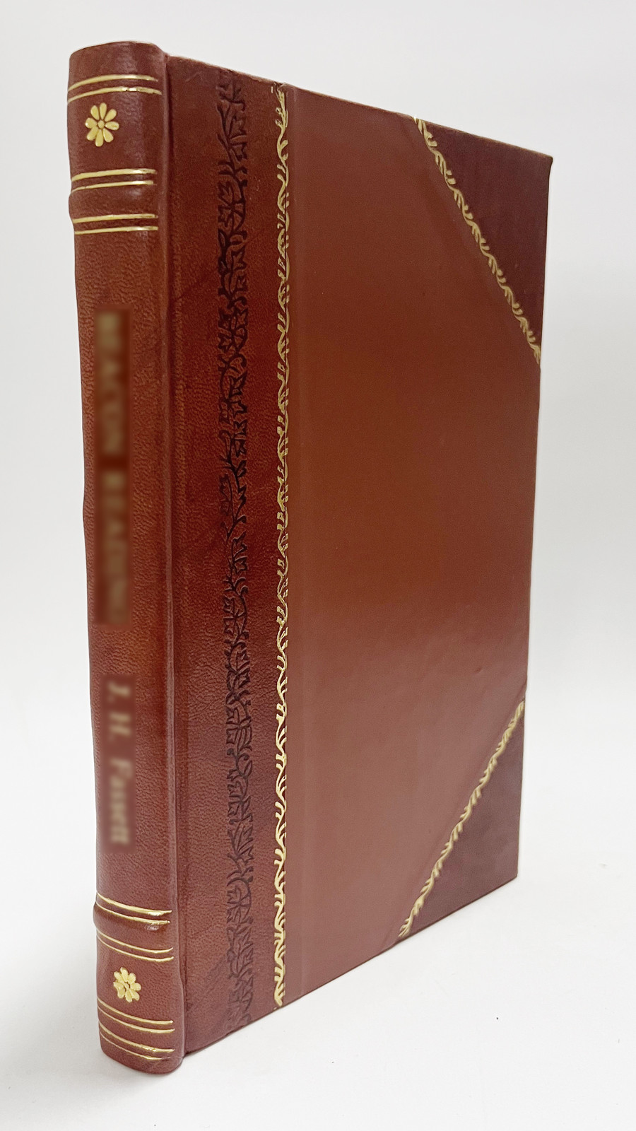 The Testing of a Nation (1919) [Leather Bound]