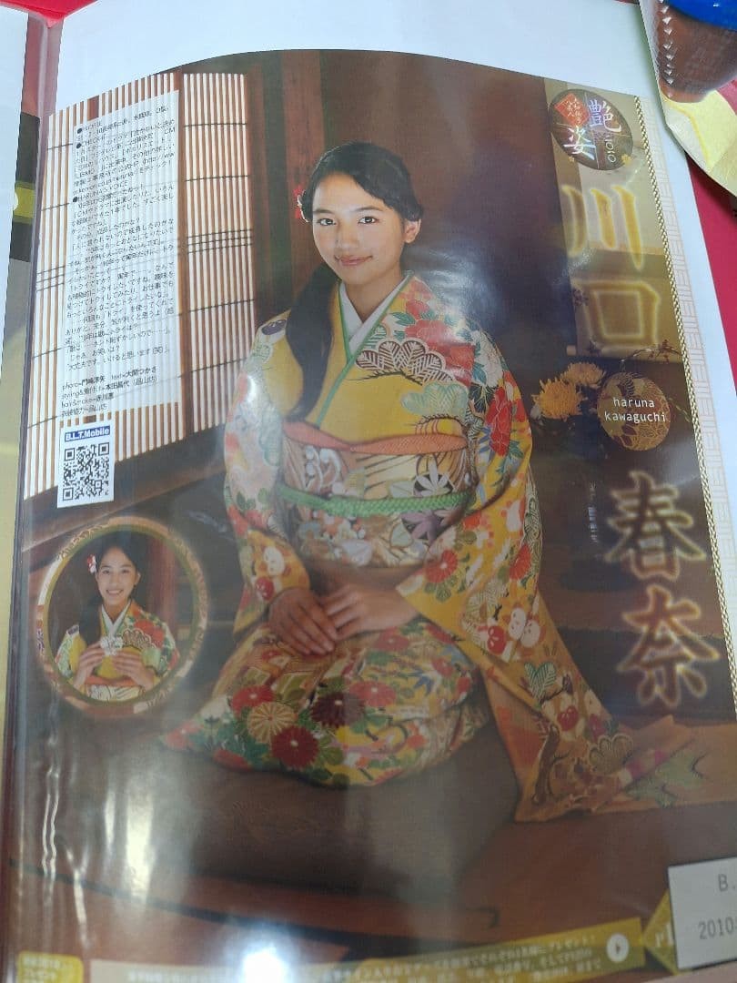 Haruna Kawaguchi Cutouts 76 Pages from 20 Magazines File Collectible