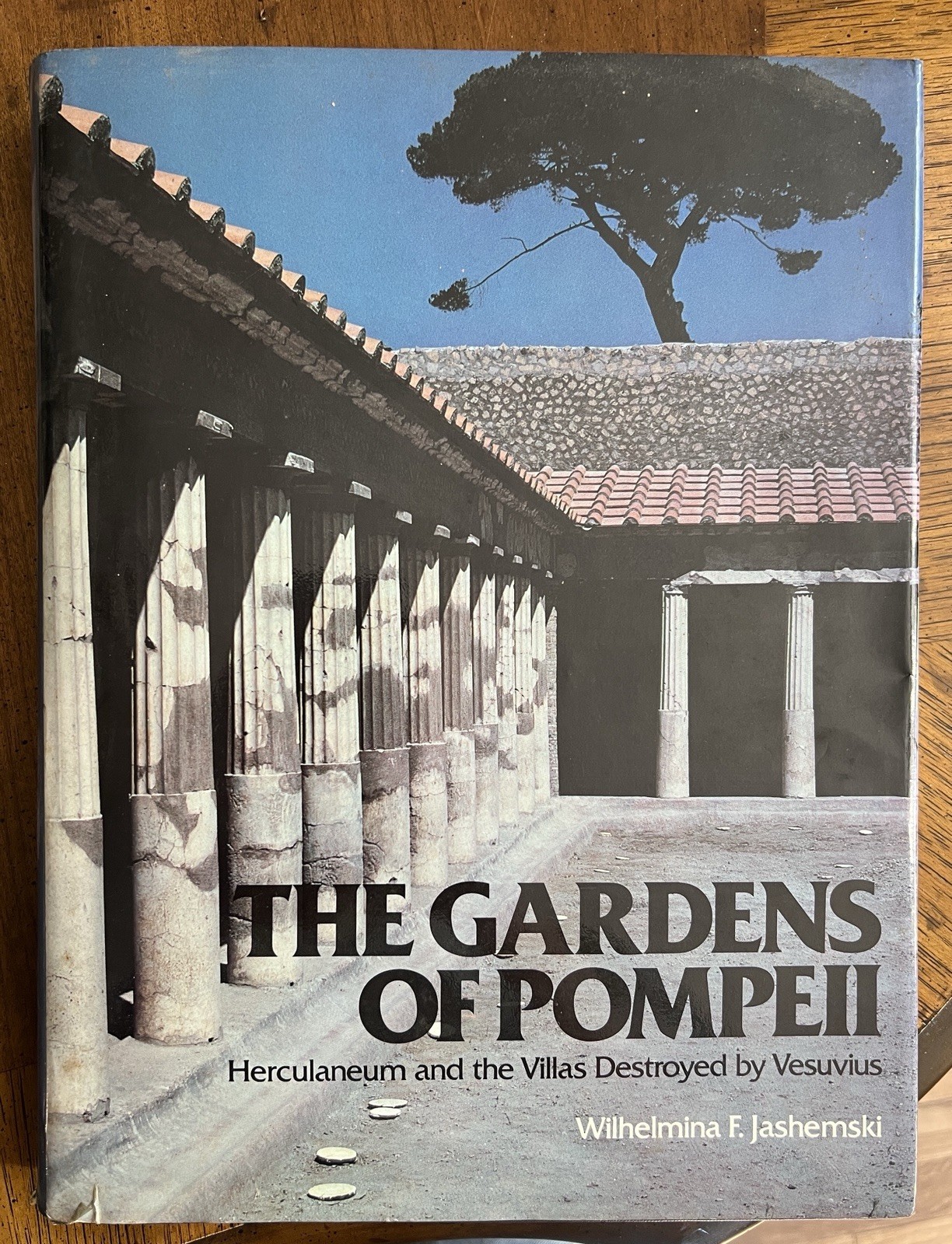 The Gardens of Pompeii, Herculaneum and the Villas Destroyed by Vesuvius