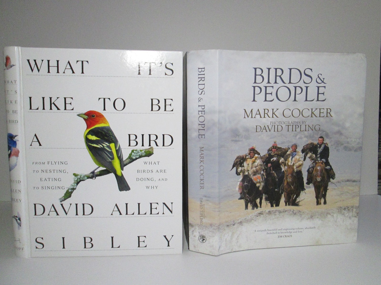 Ornithology Birds Bird Species Books Birding Birdwatching Biology History People
