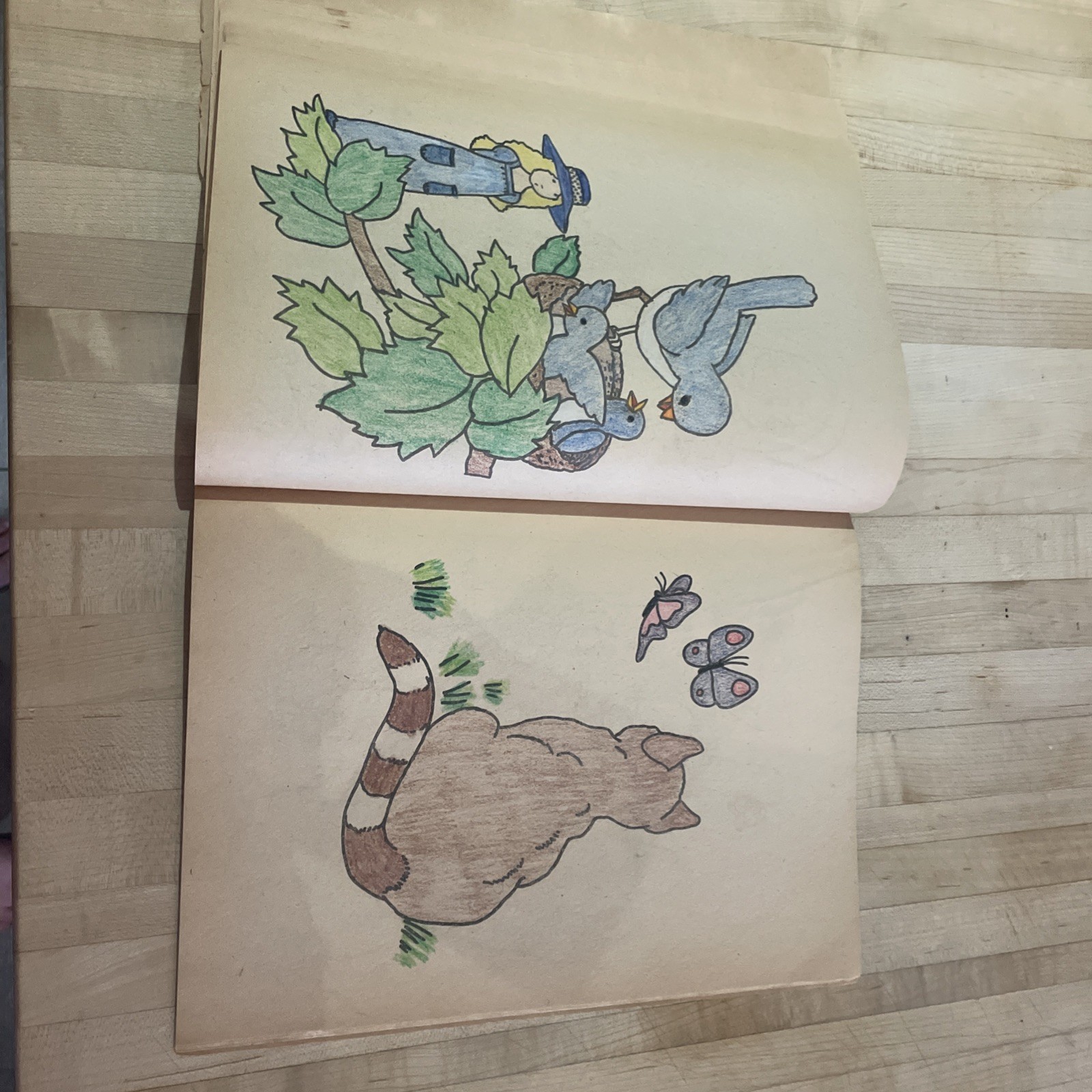 Holly Hobbie Nature Friend Coloring Book Vtg Aged Pages 1976 Slightly Distressed