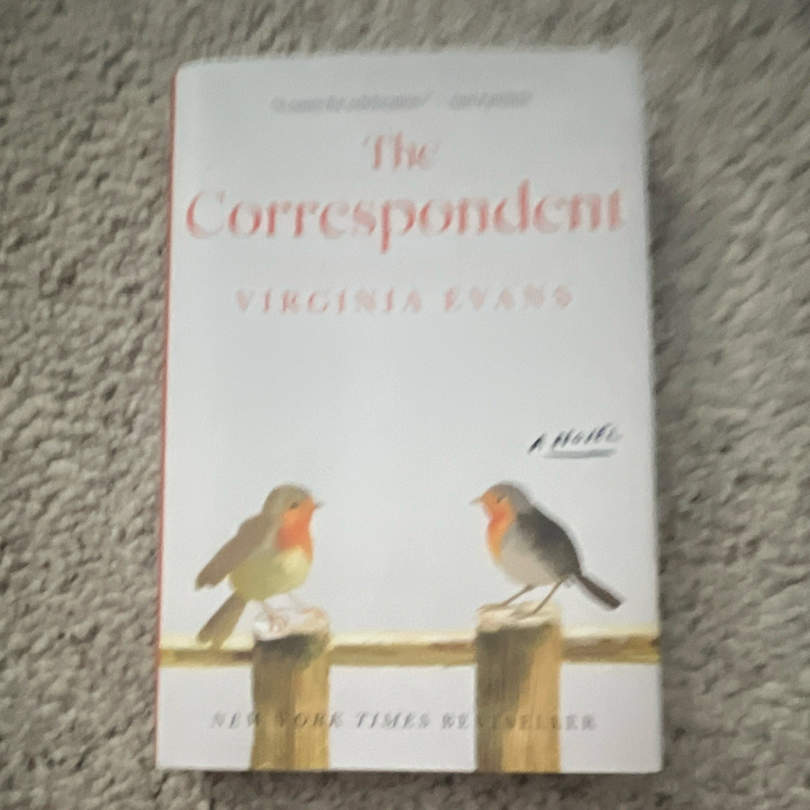 Virginia Evans The Correspondent Paperback Fiction Novel 2025 Crown New York