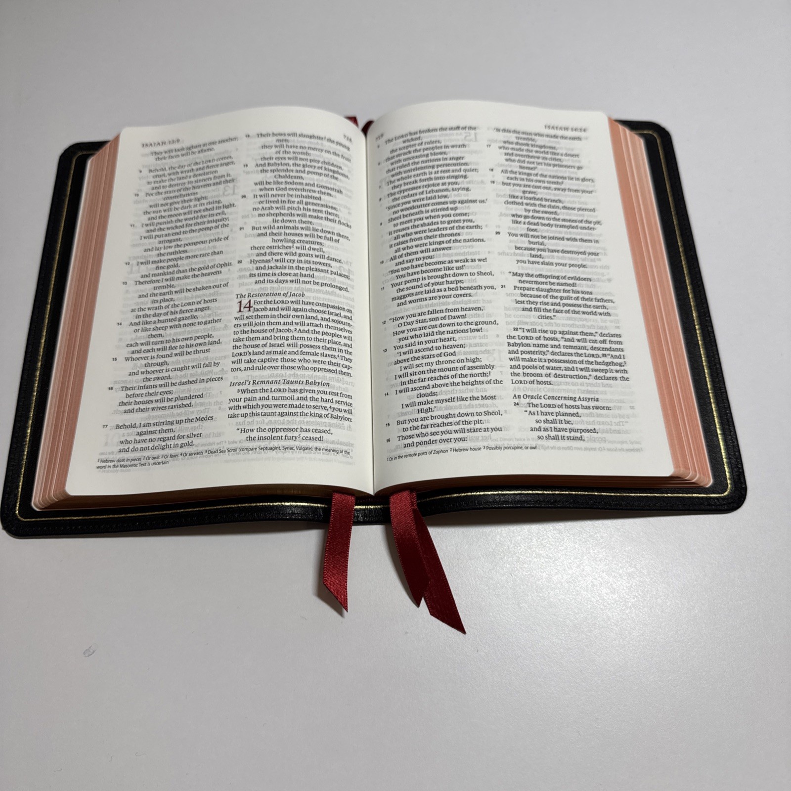 Holy Bible ESV Heirloom Single Column Personal Size Bible, Goatskin, Black