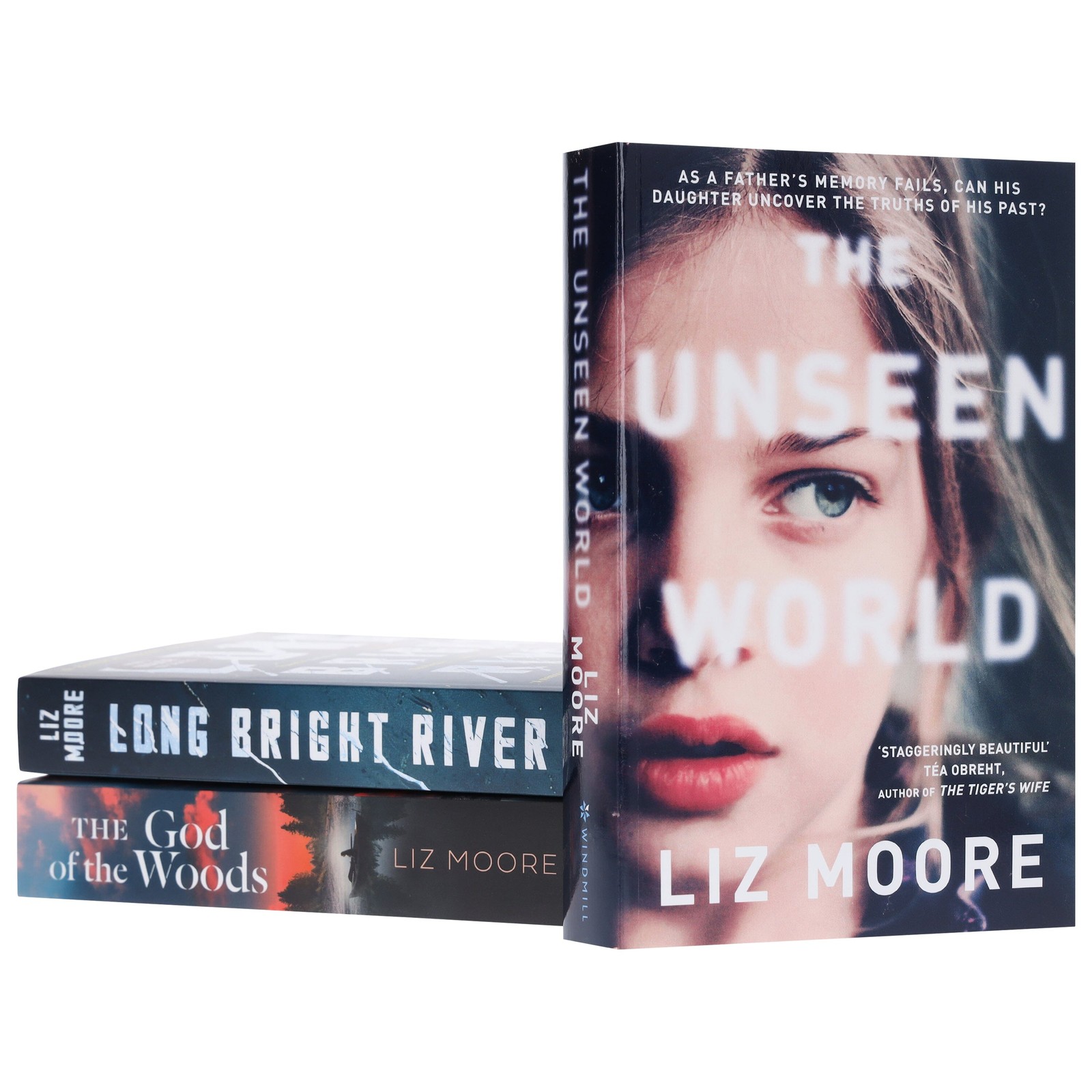 Liz Moore Collection 3 Books Set – Fiction – Paperback