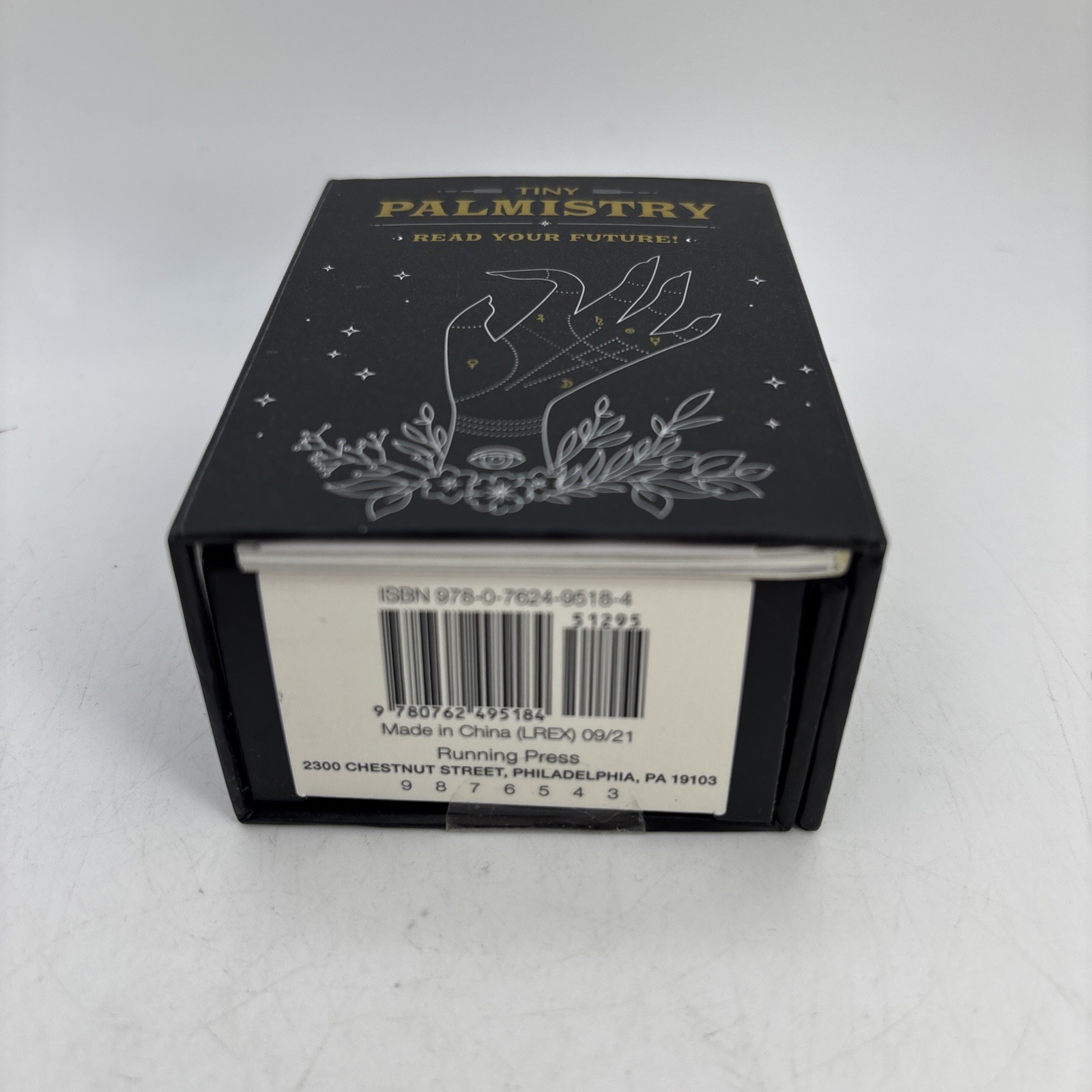Tiny Palmistry Gift Set Read Your Future Hand Book Nikki Van De Car Kit Book