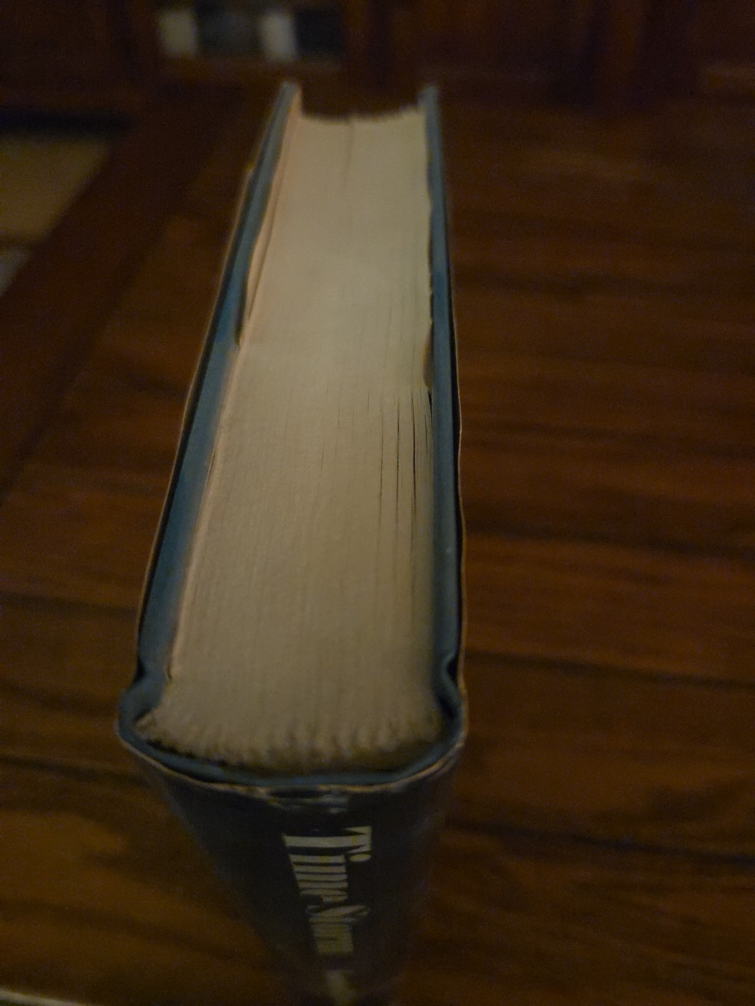 Time Storm by Gordon R. Dickson 1977 Book Club Edition HCDJ St. Martin’s Press