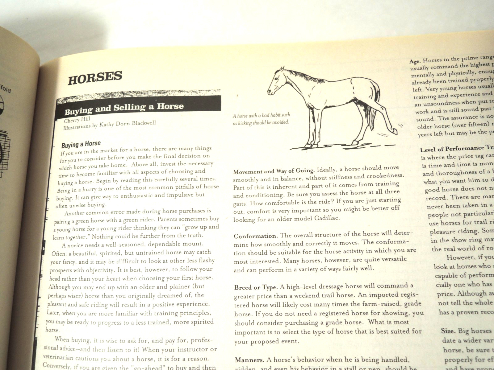 Country Wisdom & Know How Prepping Self Sufficient Living Large Paperback 2004