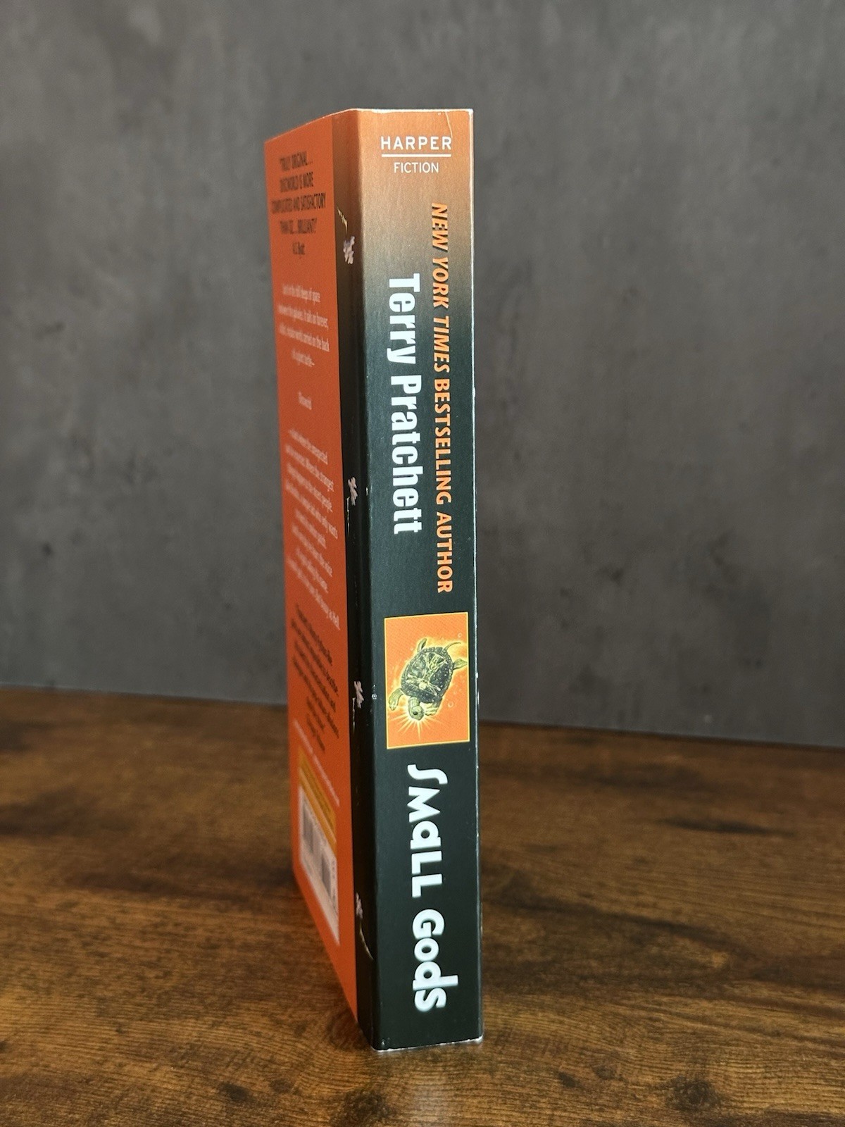 Terry Pratchett Small Gods (Fiction)