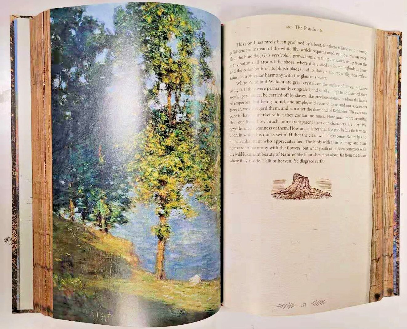 THE ILLUSTRATED WALDEN or Life in the Woods Henry David Thoreau Illustrated NEW