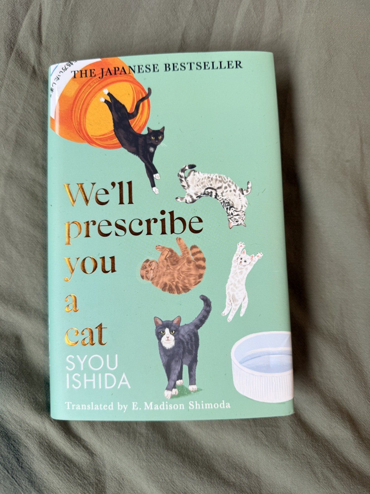 We’ll Prescribe You a Cat by Syou Ishida (2024, Hardcover)