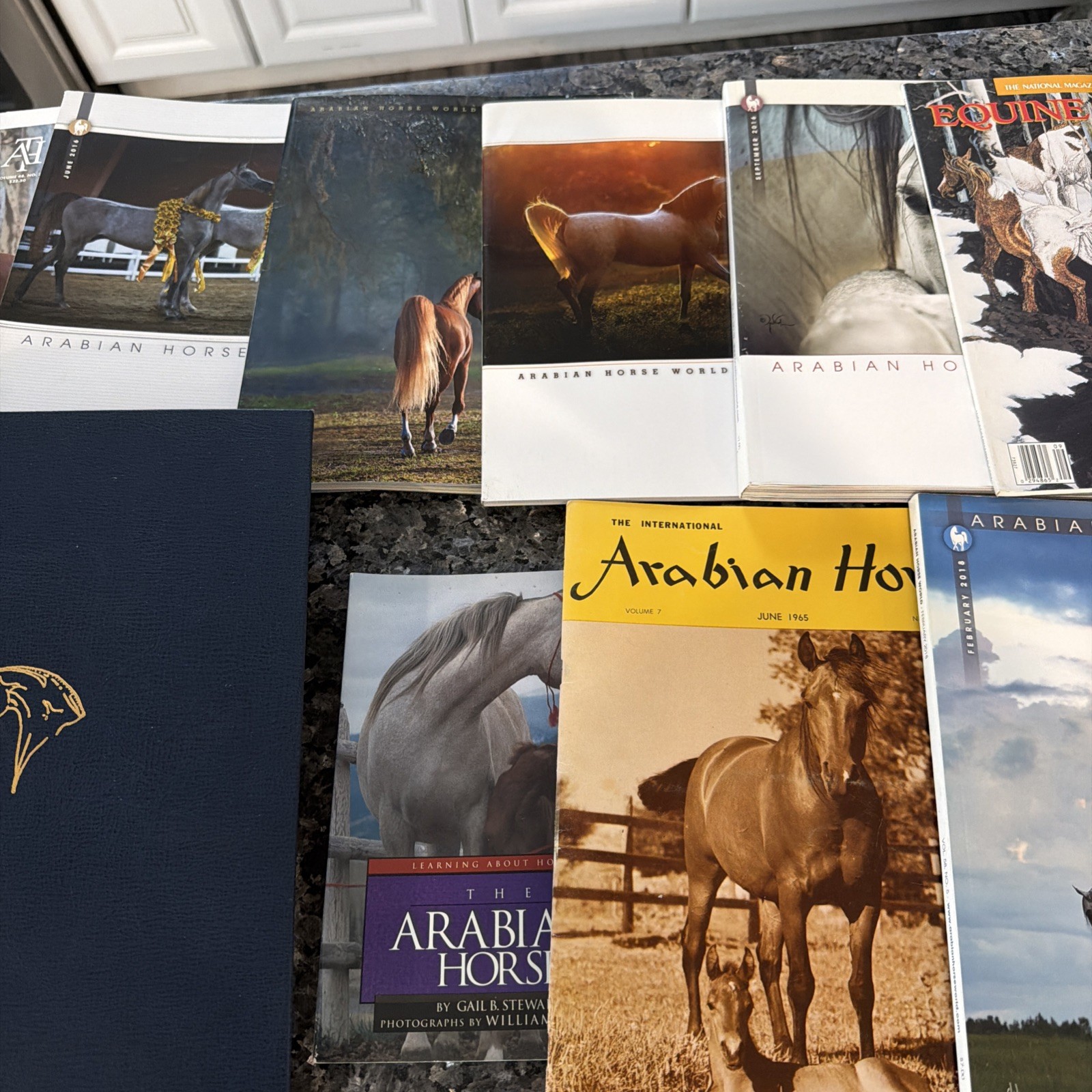 Lot Of Horse Books, Magazines Arabian Horses