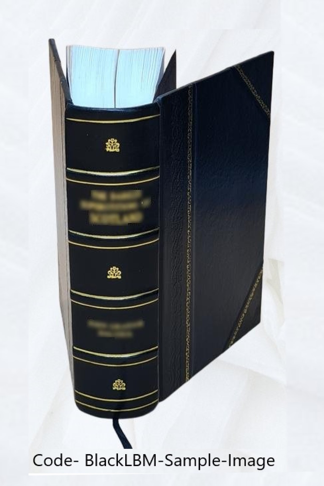 Pennsylvania Archives. Volume 5Th Ser.:V. 8 1906 [1774-1790] 1906 [Leather Bound