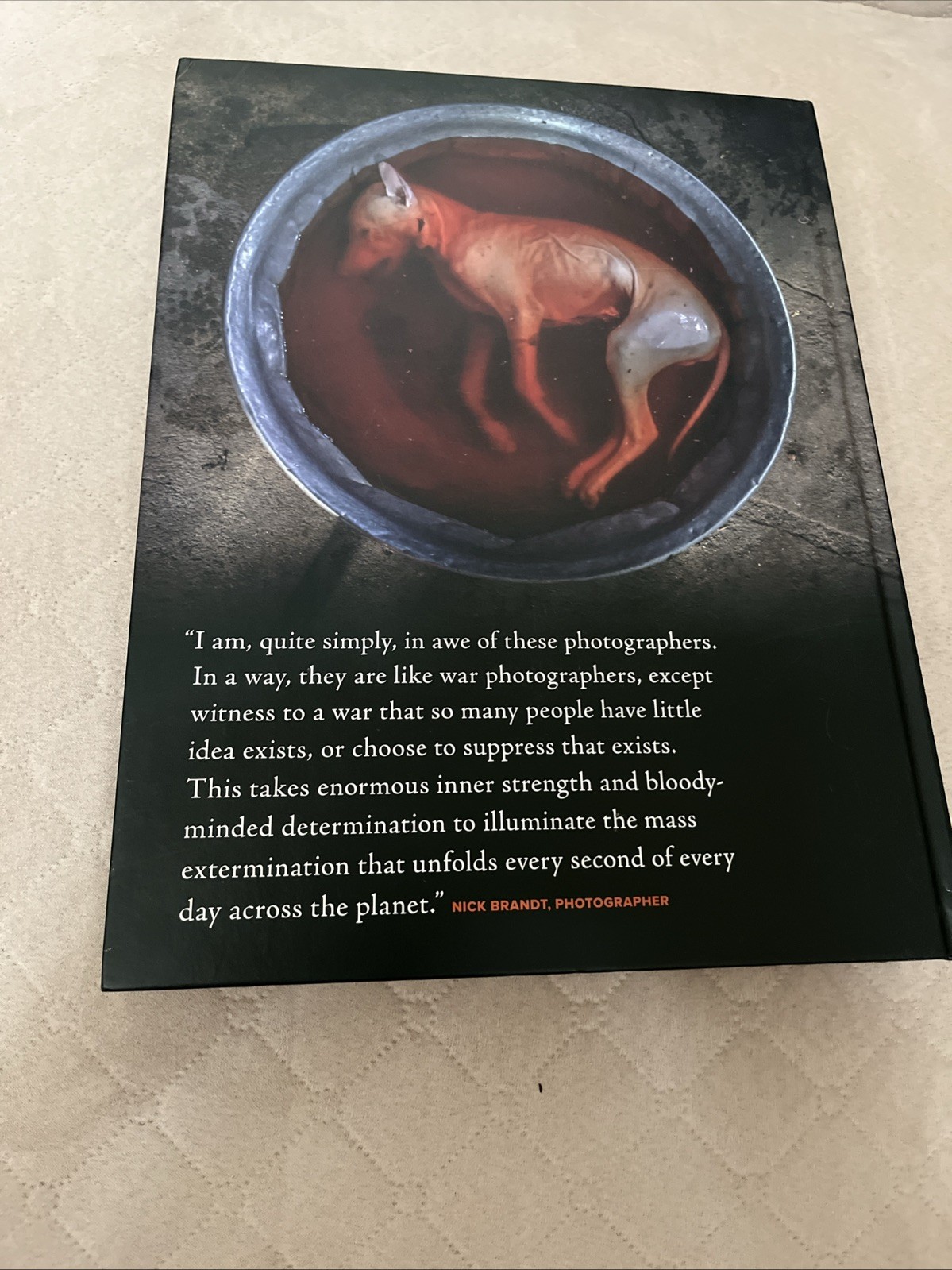 Hidden : Animals in the Anthropocene by Jo-Anne McArthur (2020, Hardcover)