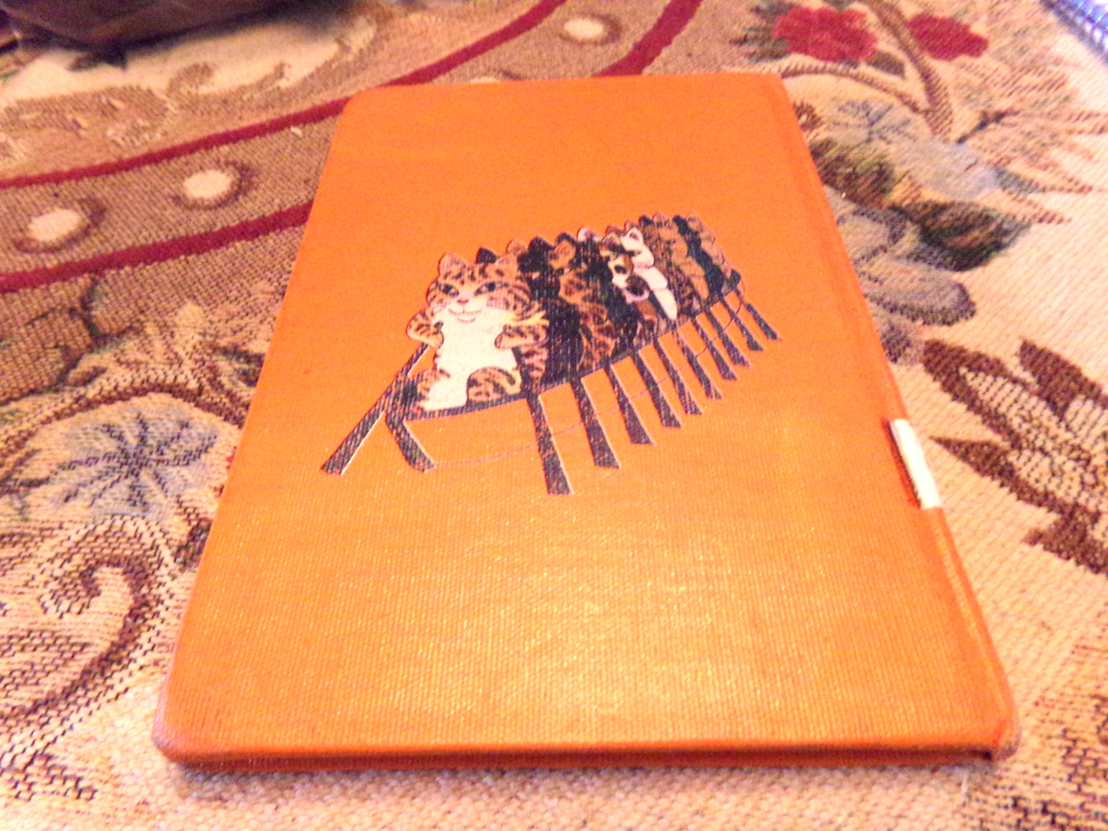 Ten Copycats in a Boat & Other Riddles Alvin Schwartz Marc Simont HC 1980 1st Ed