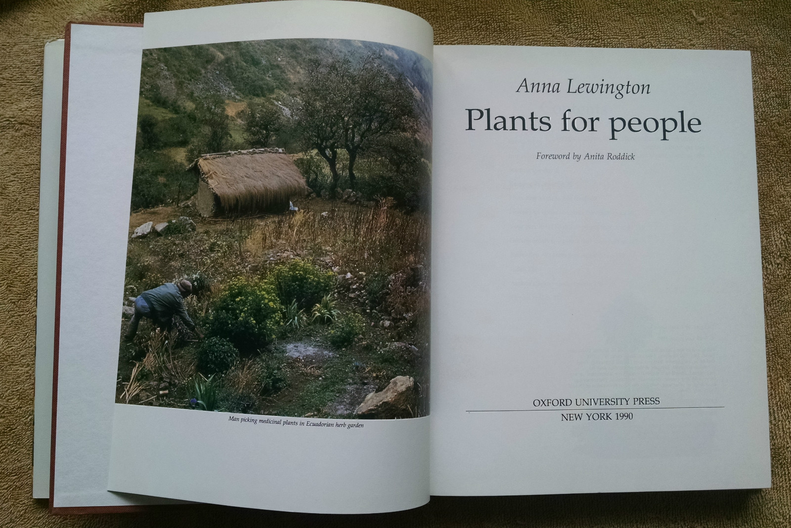 Plants for People by Anna Lewington 1990 Oxford Royal Botanic Gardens Kew