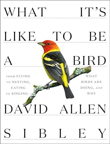 What It’s Like to Be a Bird: From Flying to Nesting, Eating to Singing–What…