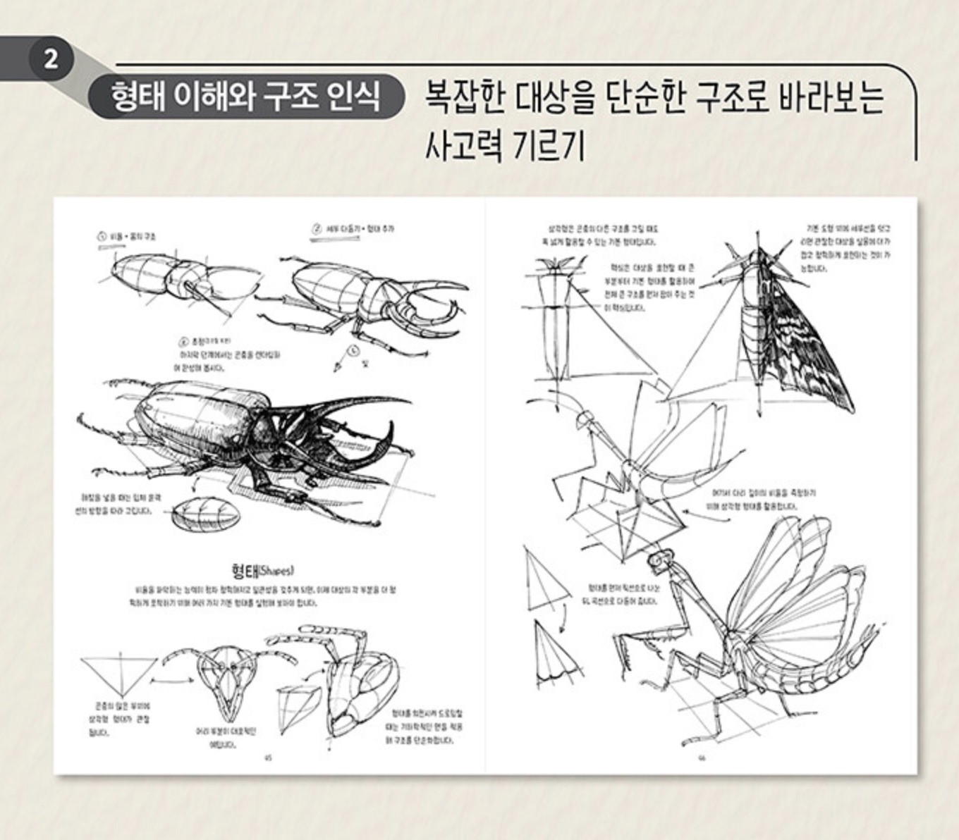 The Dynamic Bible: Peter Han Authetic drawing book Korean