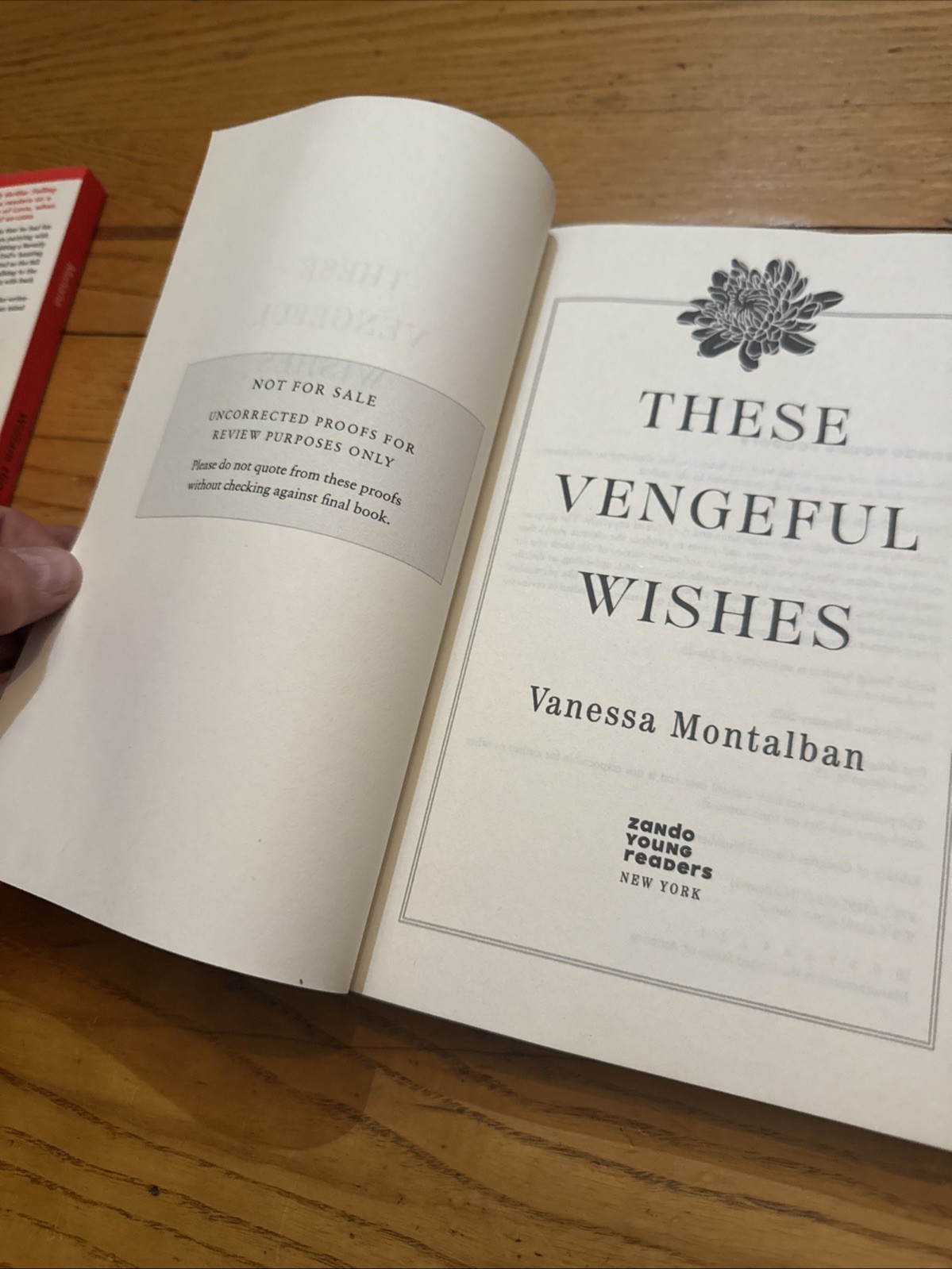 These Vengeful Wishes Vanessa Montalban ARC Zando Preview Edition New PB